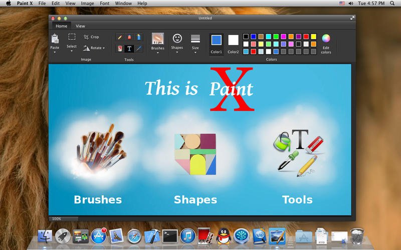 paint 2 for mac download